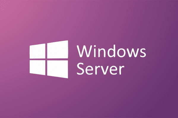 Windows device cal. Windows Server 2019 device cal.